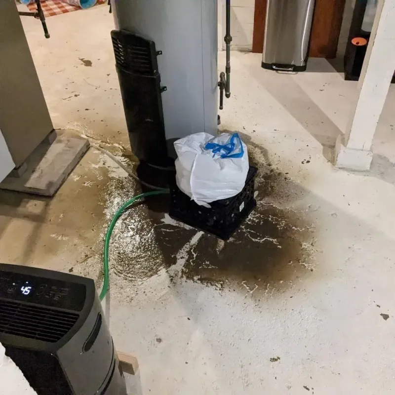 Sewage Backup Cleanup Service in Steelton, PA